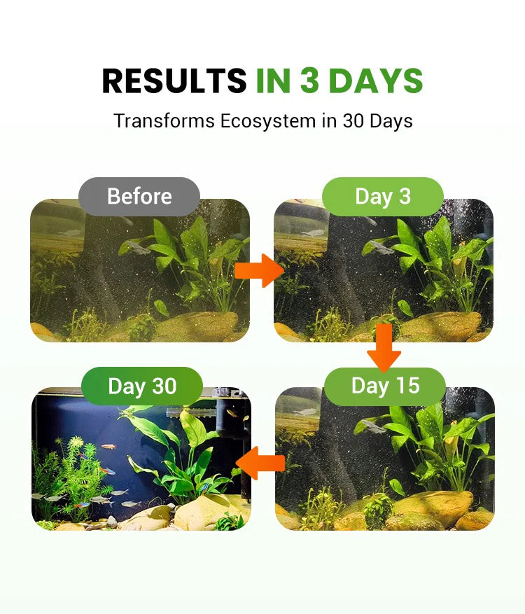 Premium Pond Care Powder | Water Clarifier & Algae Control 🐟